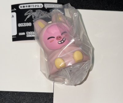 📌skzoo小夜燈扭蛋