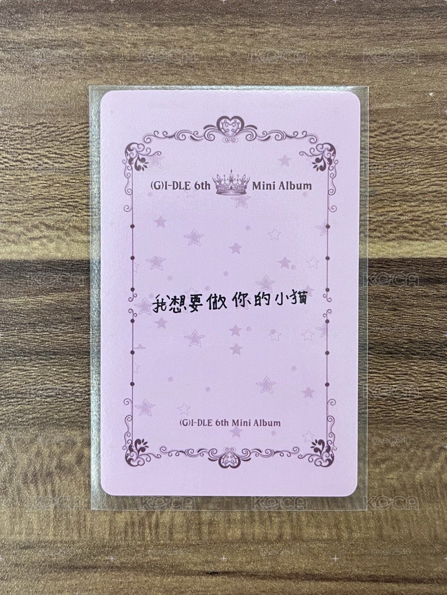 我想要做你的小貓