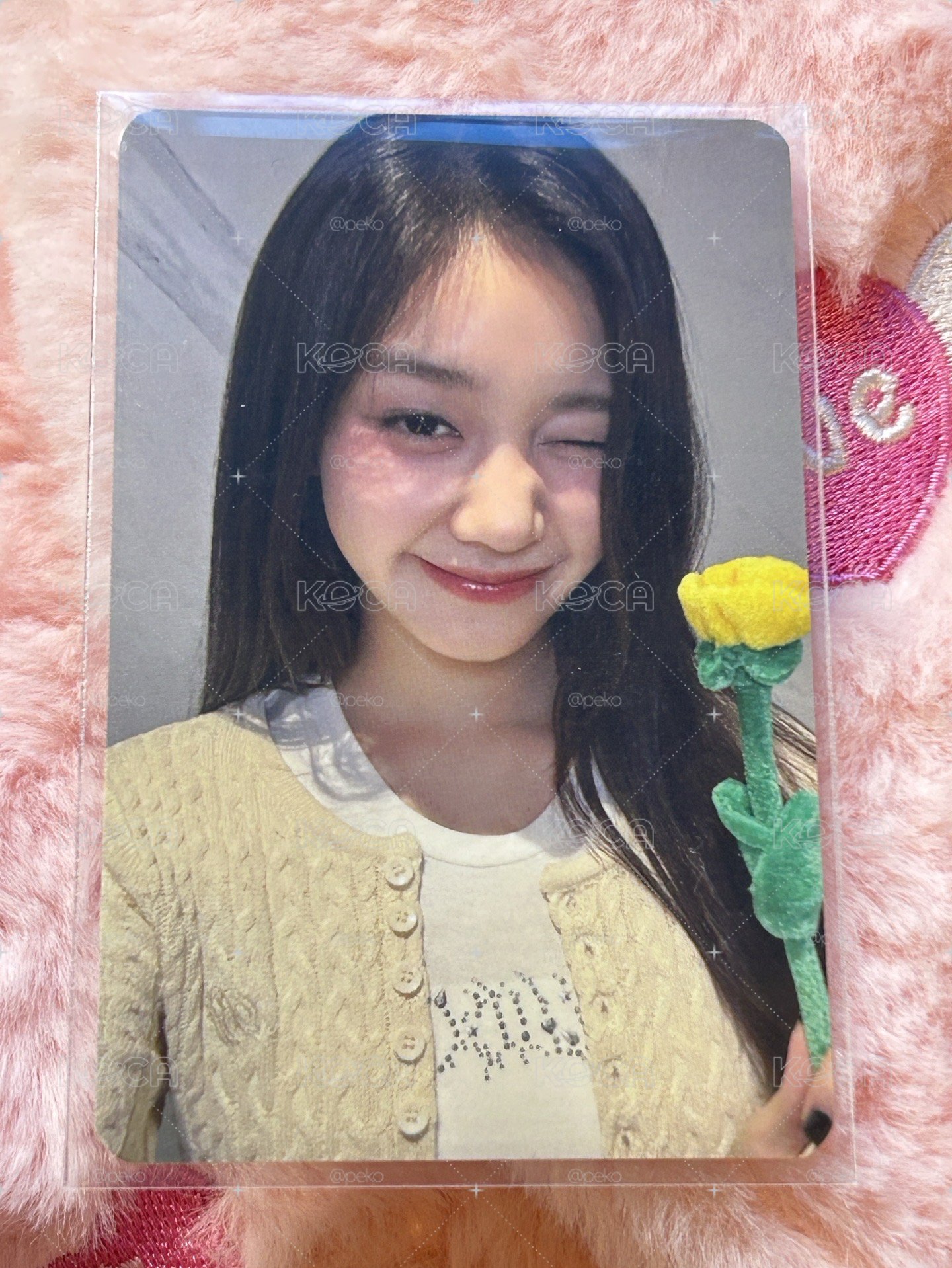 玫瑰日 拿花塔