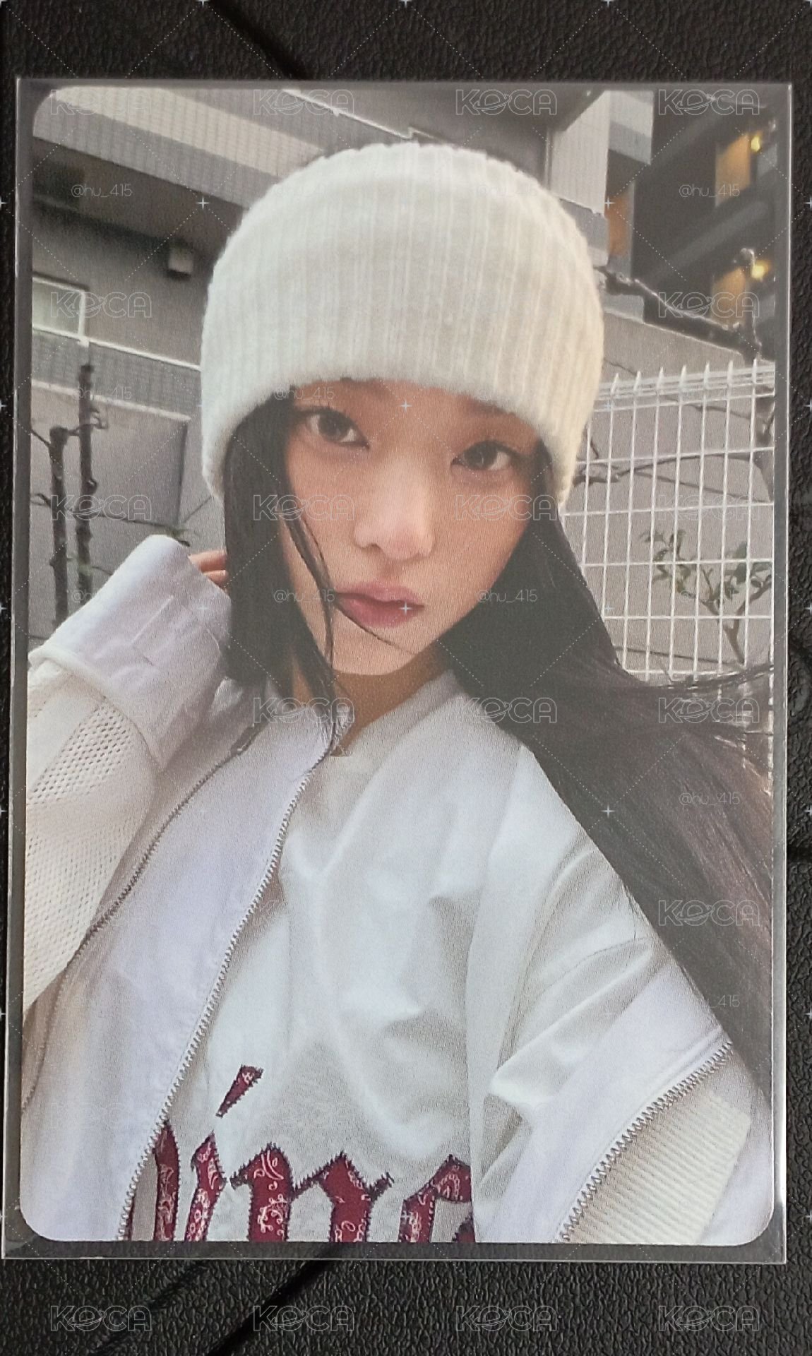 入場卡貓