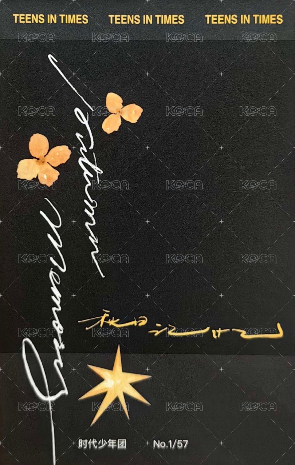 秋日記憶 周邊卡 團卡 背面