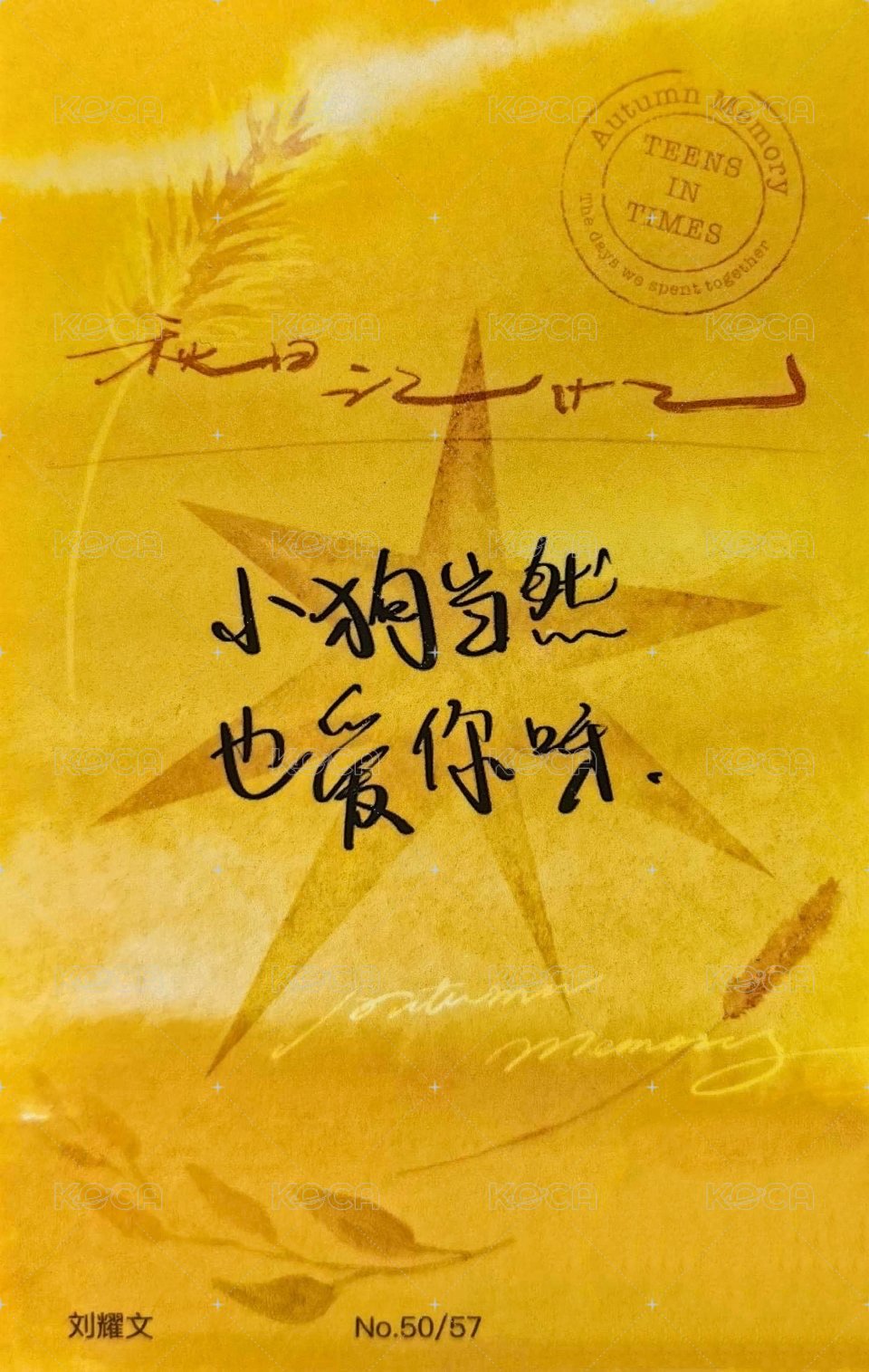 秋日記憶 周邊卡 4團固 背面