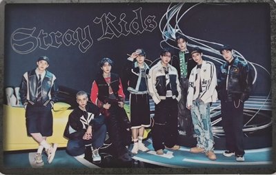 SKZ STRAY KIDS 靜岡 Dominate 拍立得 小卡 黃鉉辰 Hyunjin 團卡