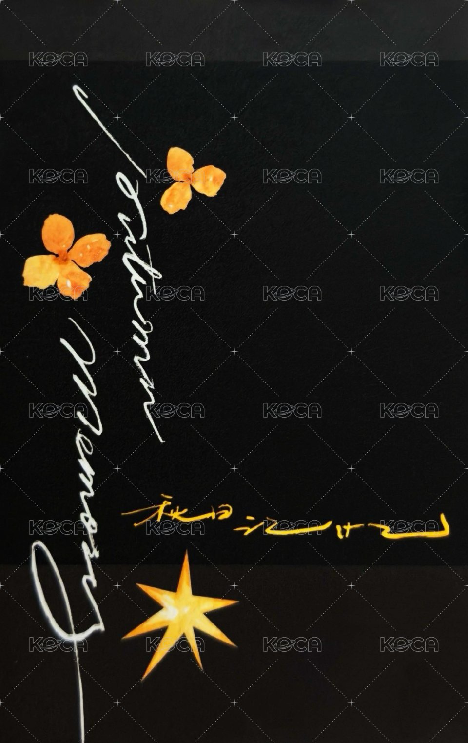 秋日記憶 隨機卡 35雙人 背面