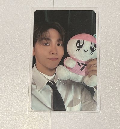 SEVENTEEN  RIGHT HERE 美巡 會員 衣服卡 蹦蹦卡 夫勝寛