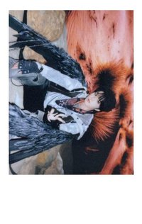 秋日記憶 隨機卡 4隱藏