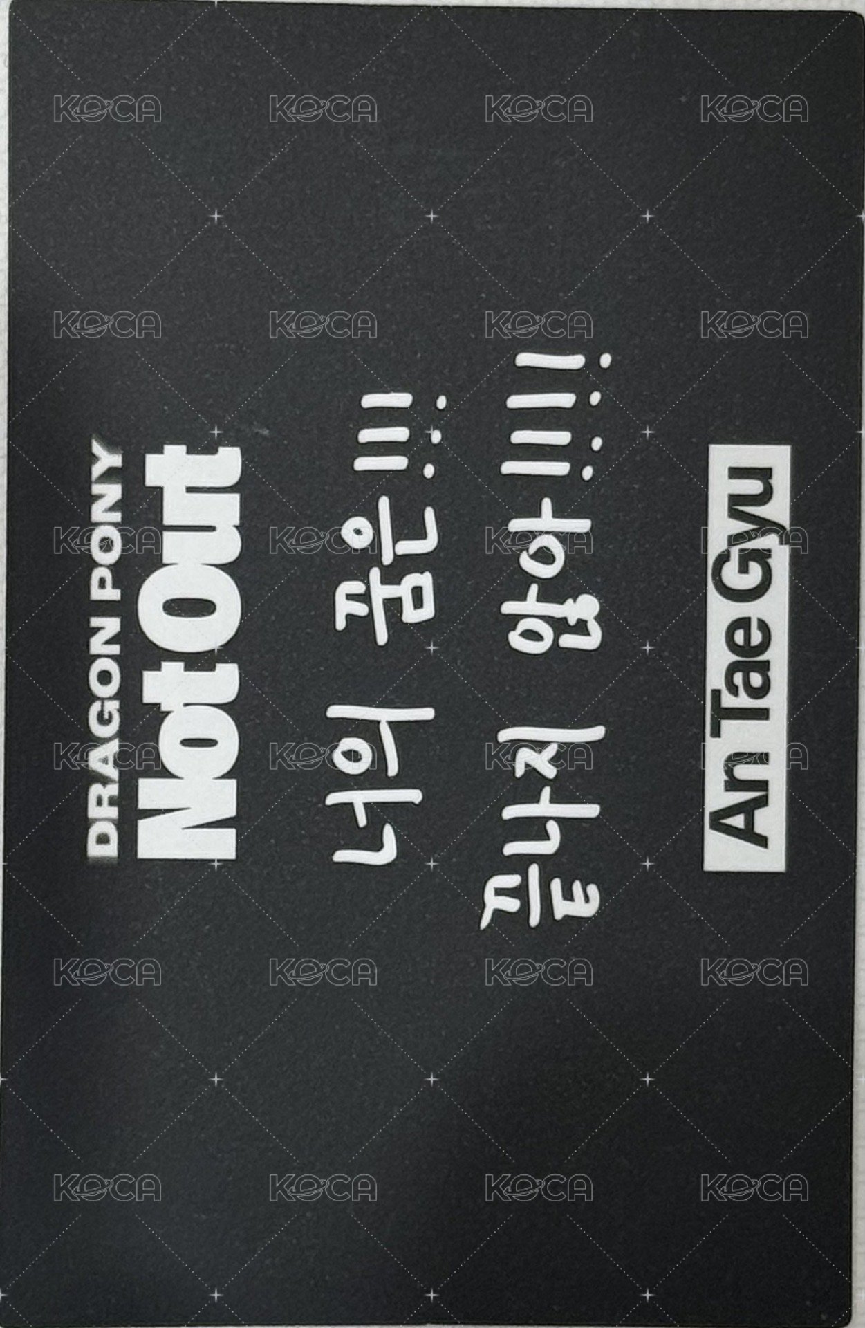 Not Out 專輯卡  背面