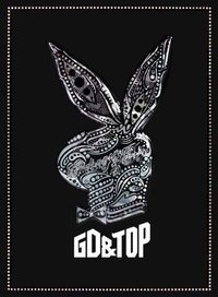 《GD&TOP》 專輯 銀兔