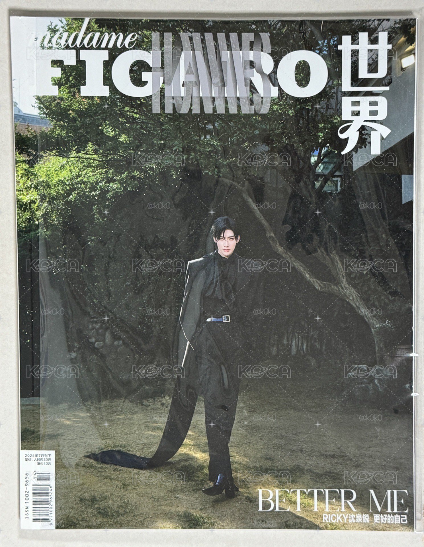 費加羅雜誌