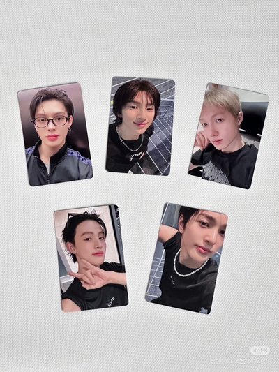 代友售 cortis安🐶