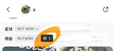 WISHarc Ver. *需綁300⬆️