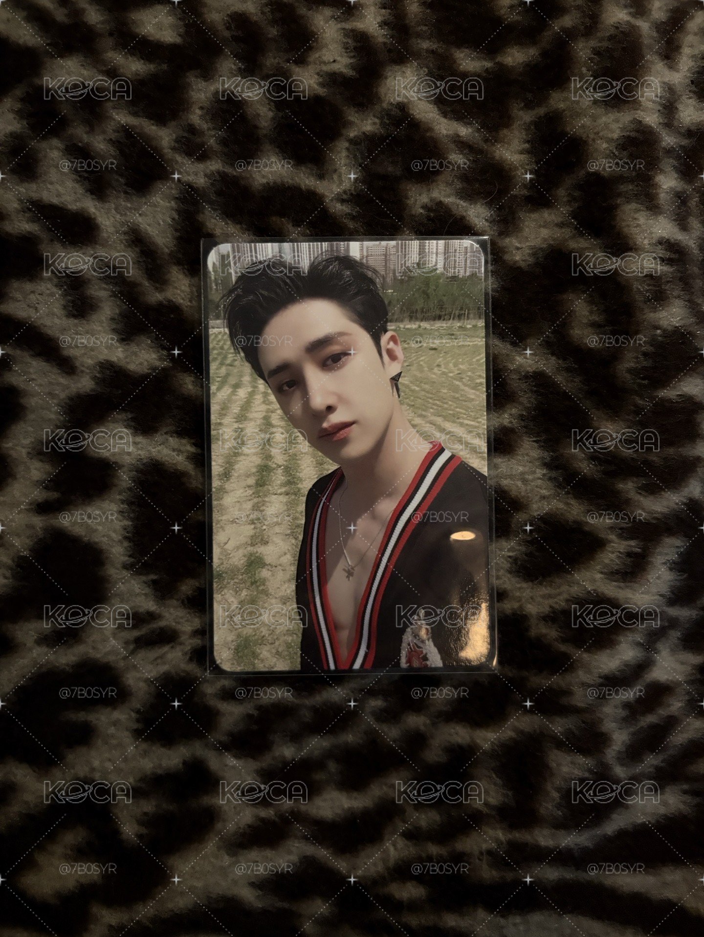 SKZ燦區🐺