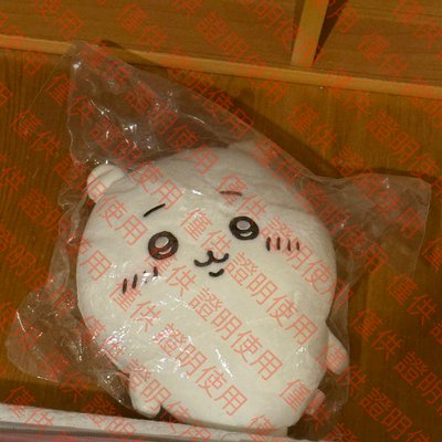 ［現貨］吉伊卡哇S娃