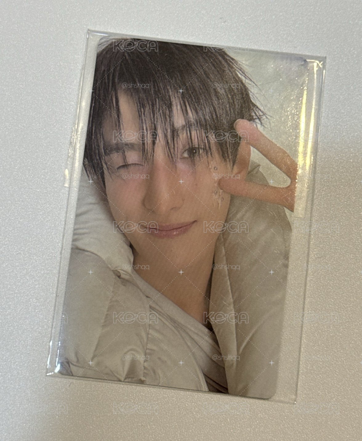 碩gv特典