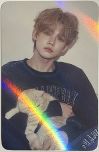 迷七 ms 單封 特典卡 抱貓竣