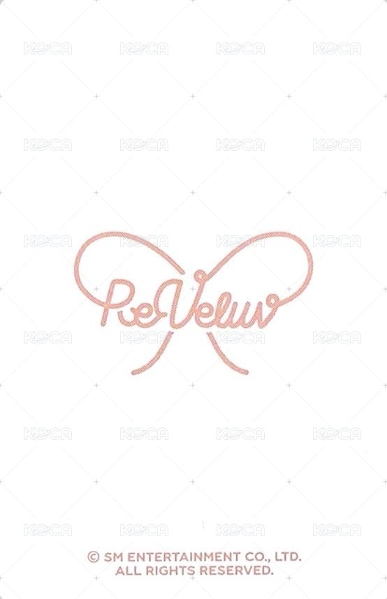 2019 ACE 一期 會員禮卡  背面