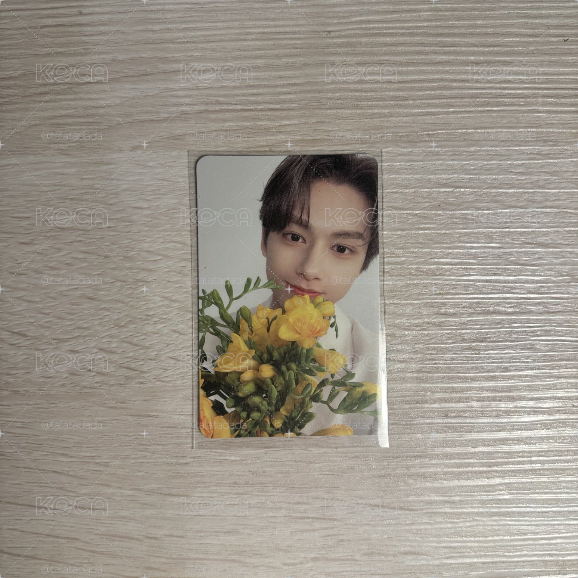 SEVENTEEN 文俊輝 mini8 專輯卡