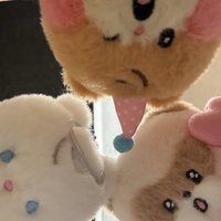 SY