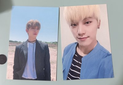 seventeen 2019 ode to you 入場卡 知秀 Joshua Dino 李燦