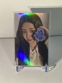 wvs 預售B特典卡