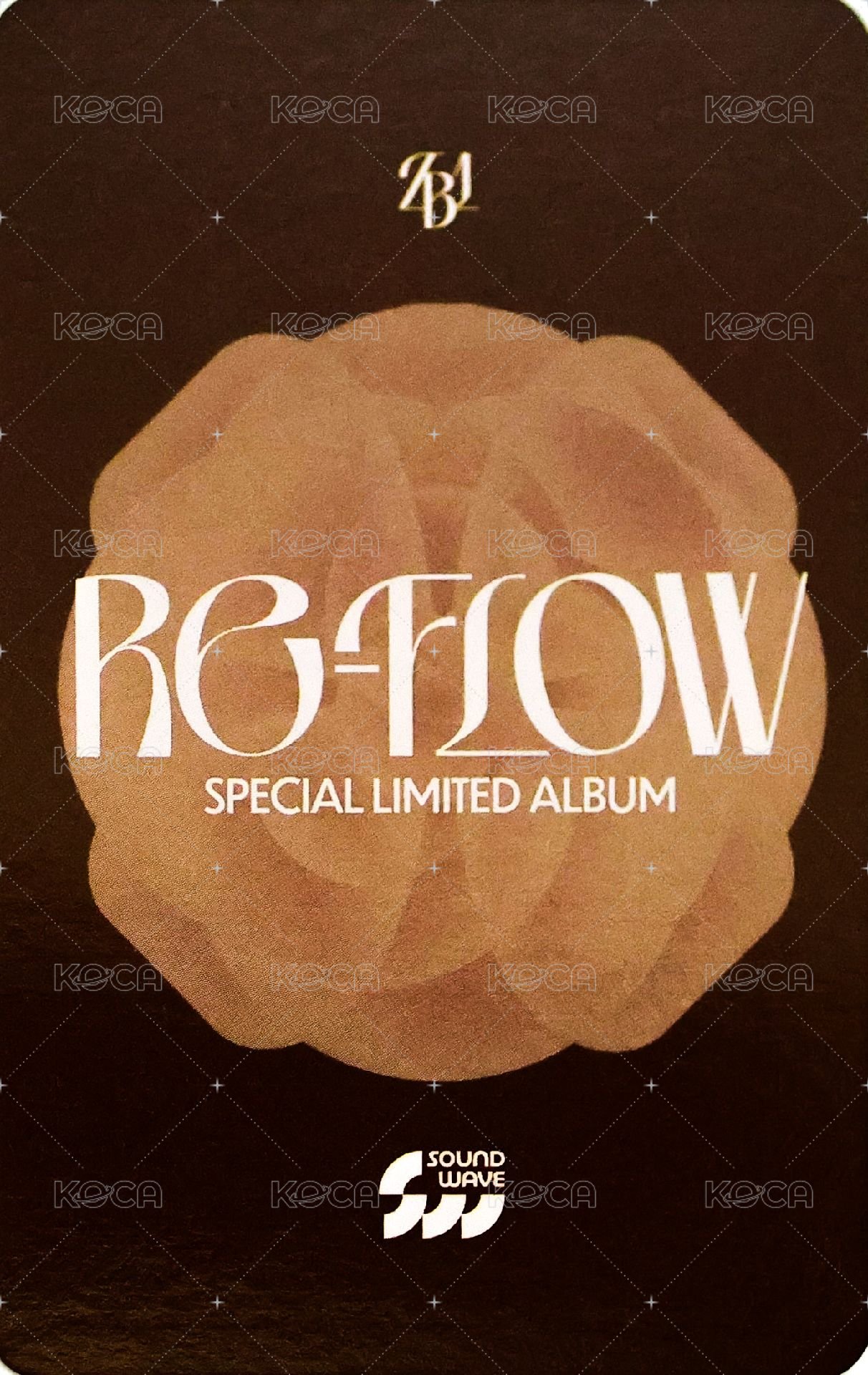 [𝐑𝐄-𝐅𝐋𝐎𝐖] sw 特典卡 虎爪 ver. 背面