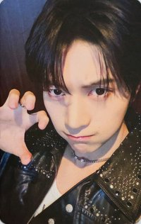 [𝐑𝐄-𝐅𝐋𝐎𝐖] sw 特典卡 虎爪 ver.