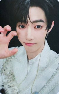 [𝐑𝐄-𝐅𝐋𝐎𝐖] sw 特典卡 虎爪 ver.