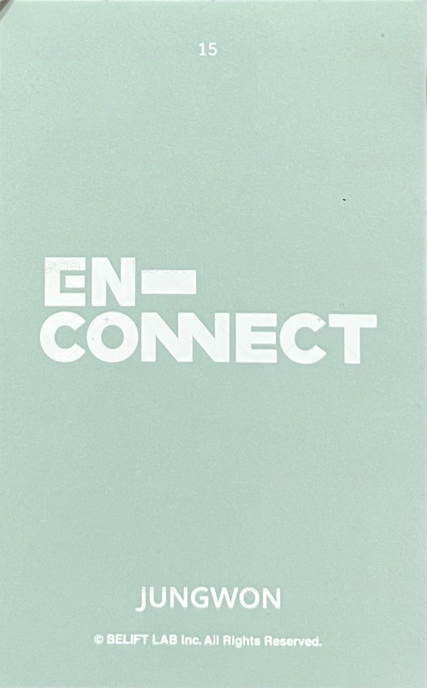 21 FM 隨機卡  背面