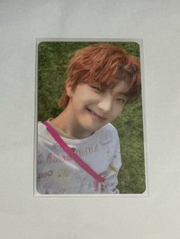 The Action 草地專卡6 