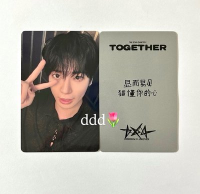 太顯 小貓 中文卡背 姜太顯 yzy