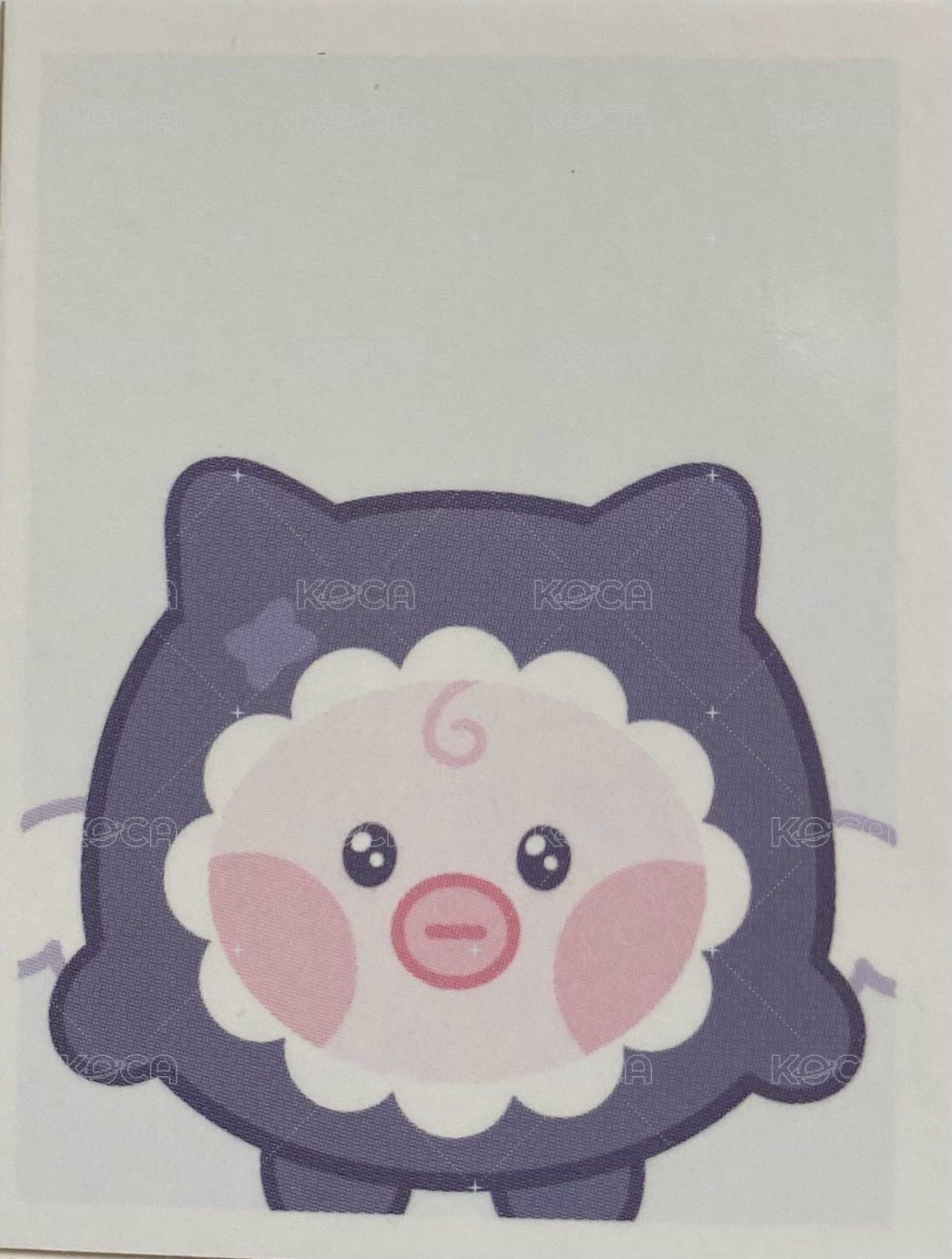 <Beautiful Mind>World Tour 周邊卡 ID證件照 背面