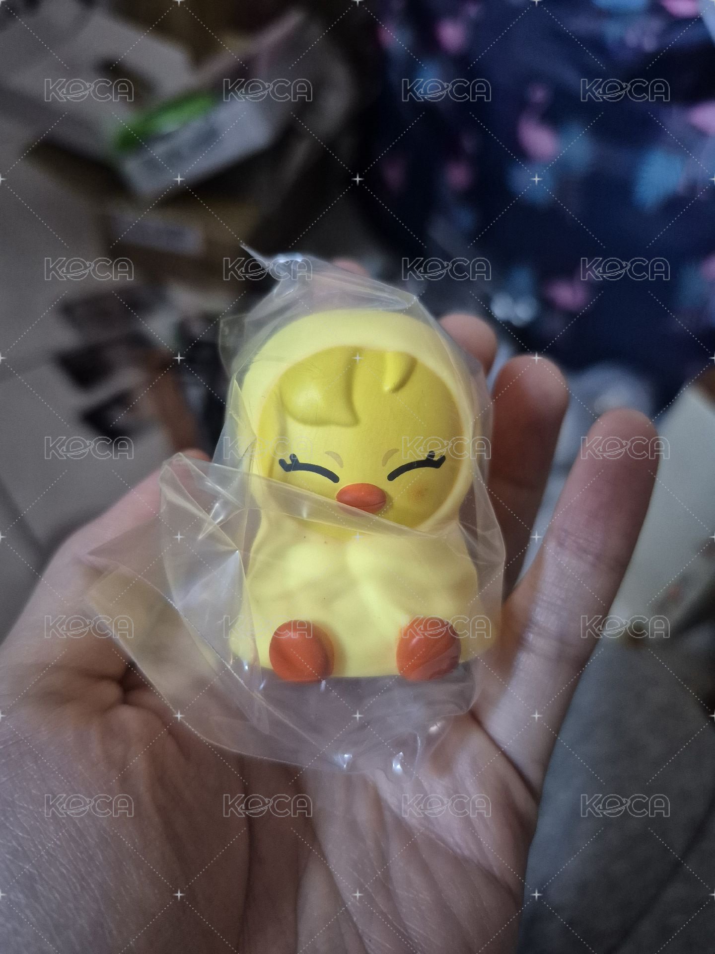 菲