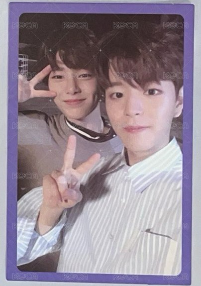 小主唱🐶🦊