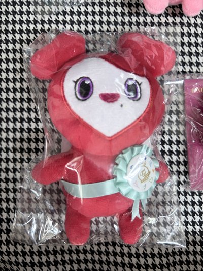 （現貨有牌）Twice celebrate 五週年 彩瑛 lovelys 娃娃