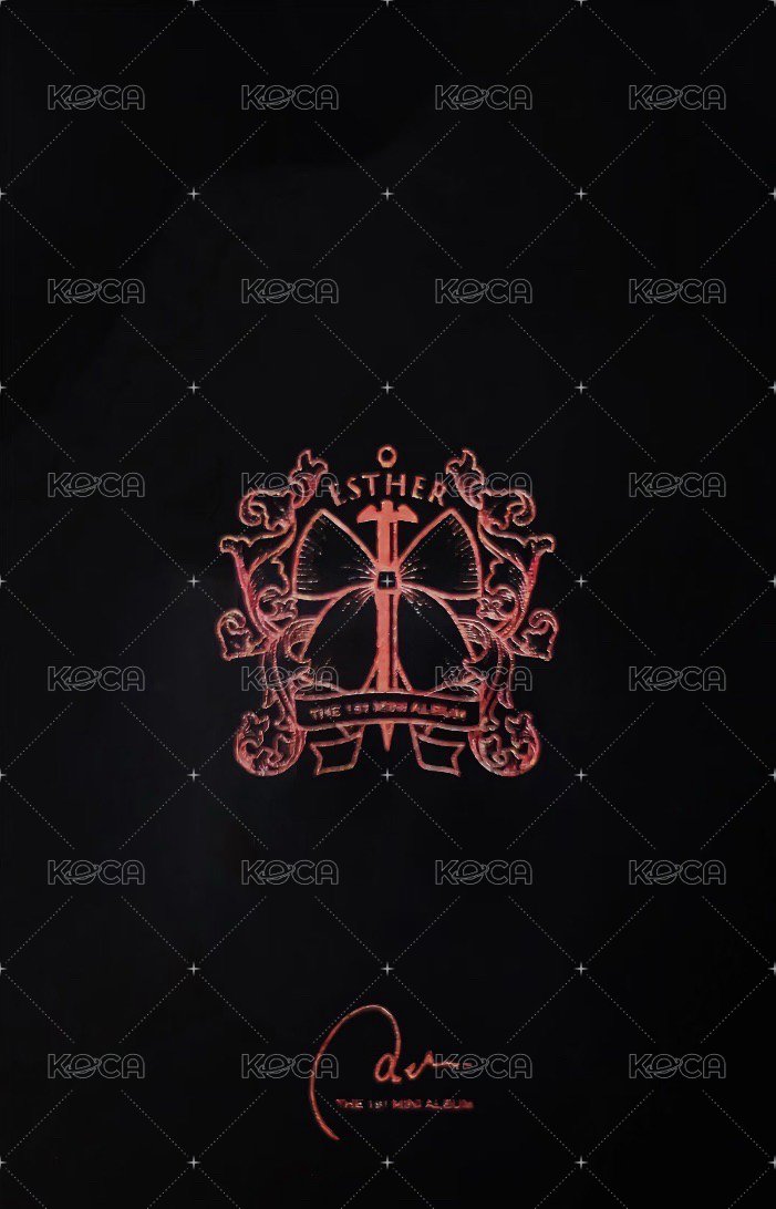 一專 專輯卡 黑版 背面