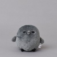 黑五 SS娃 黑五P助SS娃