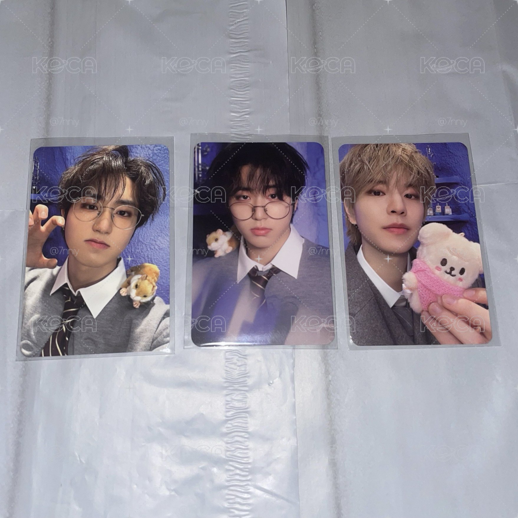  ･｡魔法 － 🐿️🐶･｡