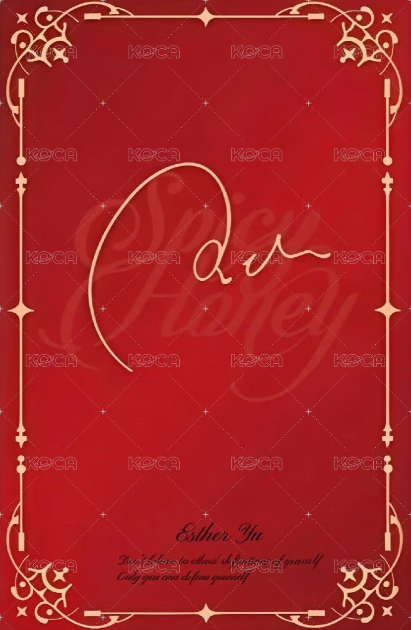 二專 專輯卡 紅版 背面