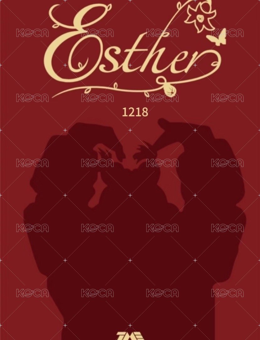 二專 星光卡 五星 背面