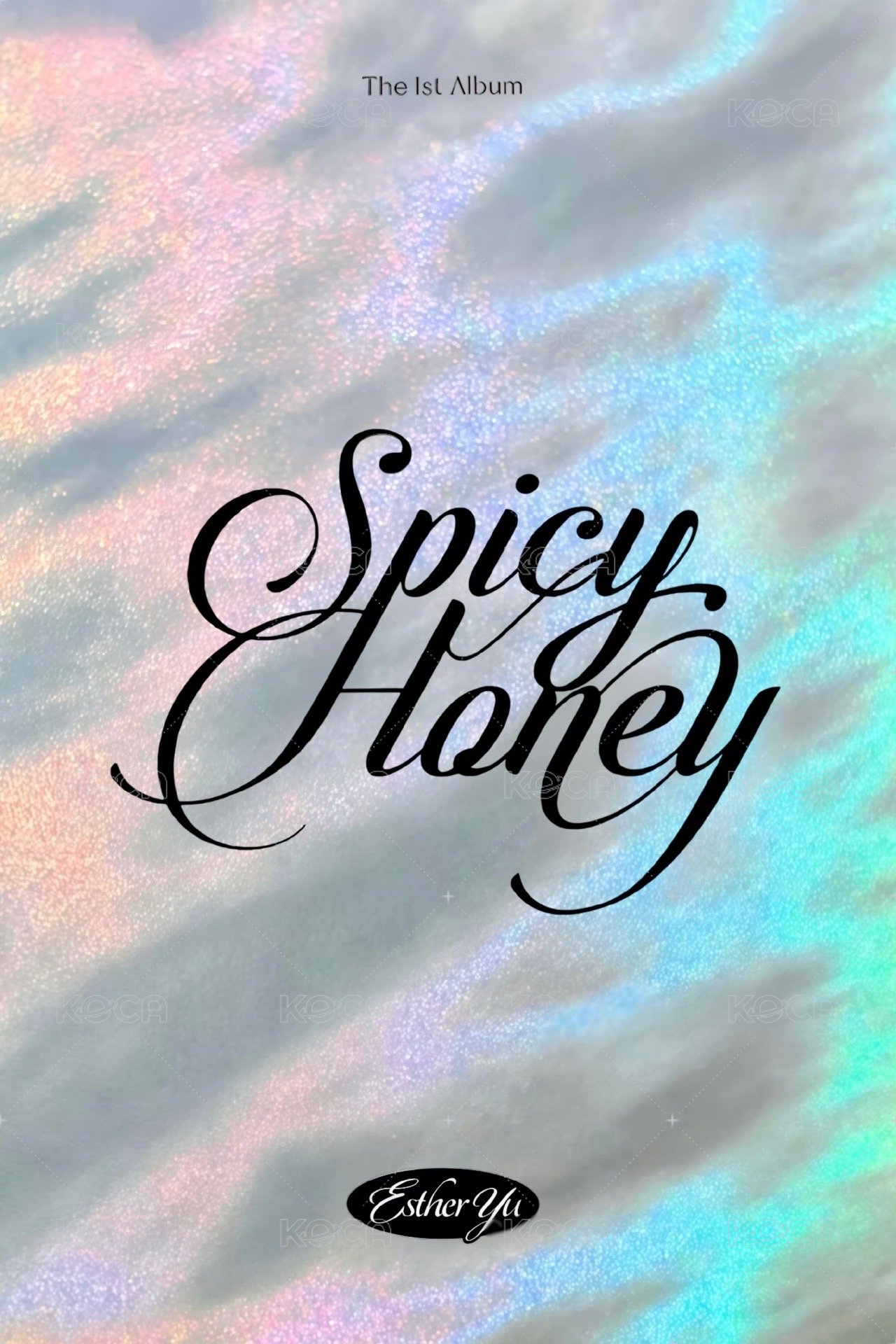 正規專 隨機卡 典藏 背面