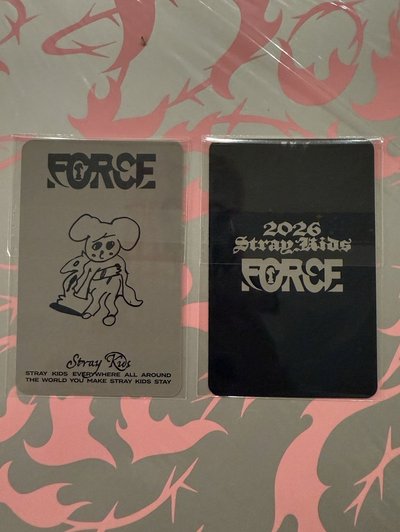 stray kids 日本年曆force 特典卡