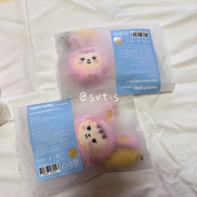 現貨💎miniteen大頭吊飾娃｜淨漢｜兔拉米｜WVS購入