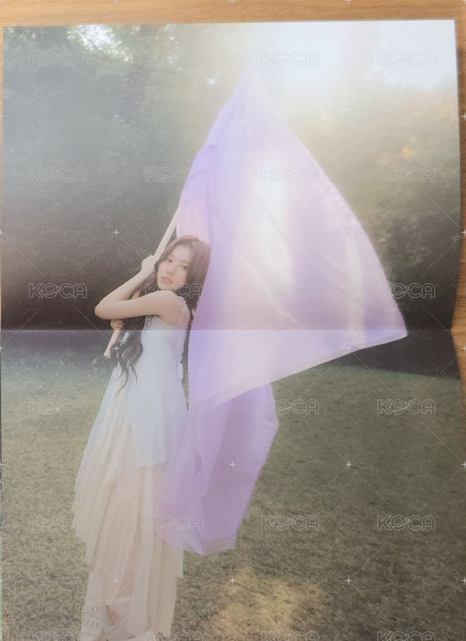 迷13 海報  背面