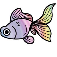 💎是金魚啦💎