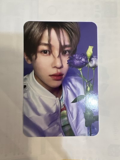 Songbird  是溫專+卡