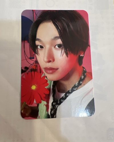 Songbird Riku 專+卡