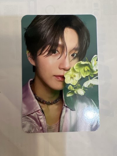 Songbird jaehee 全專