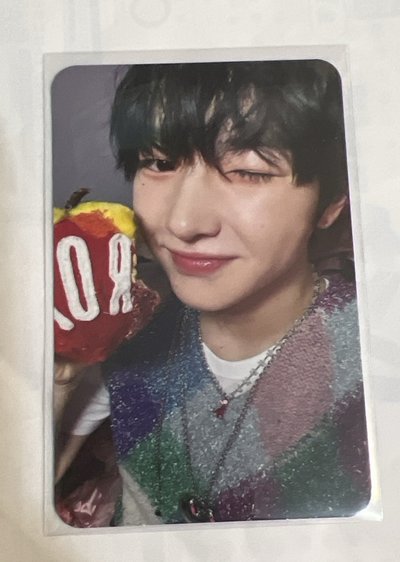 Songbird sakuya 全專