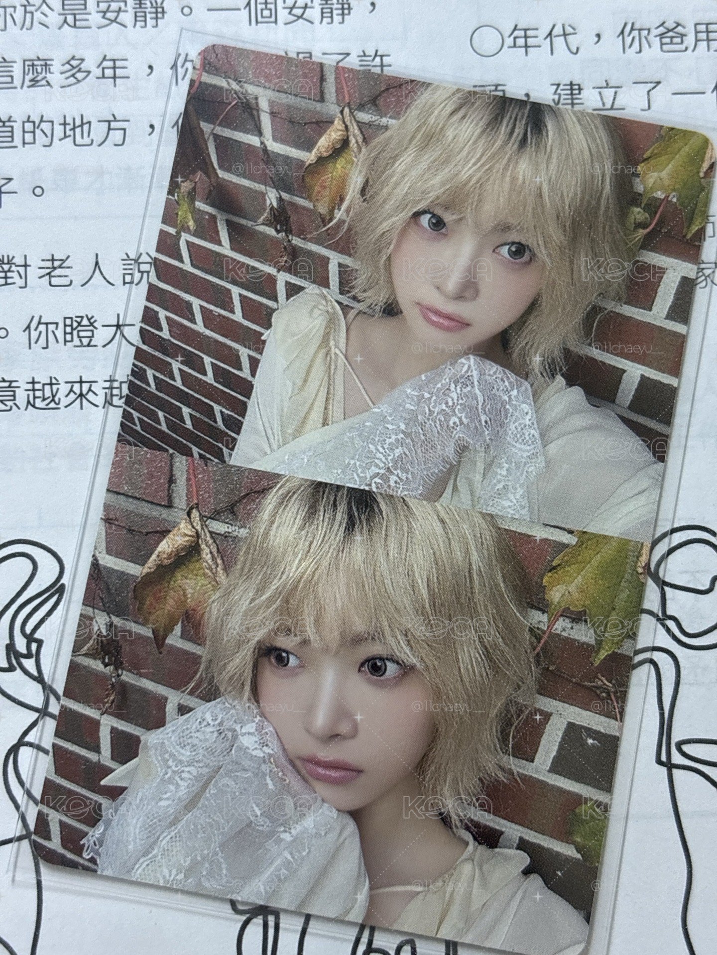 HOT pb 專輯卡 vol.1