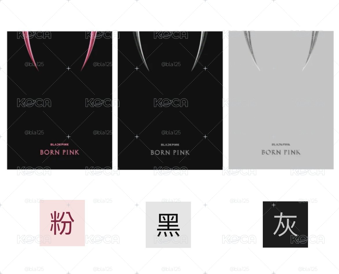 BP 《BORN PINK》空專